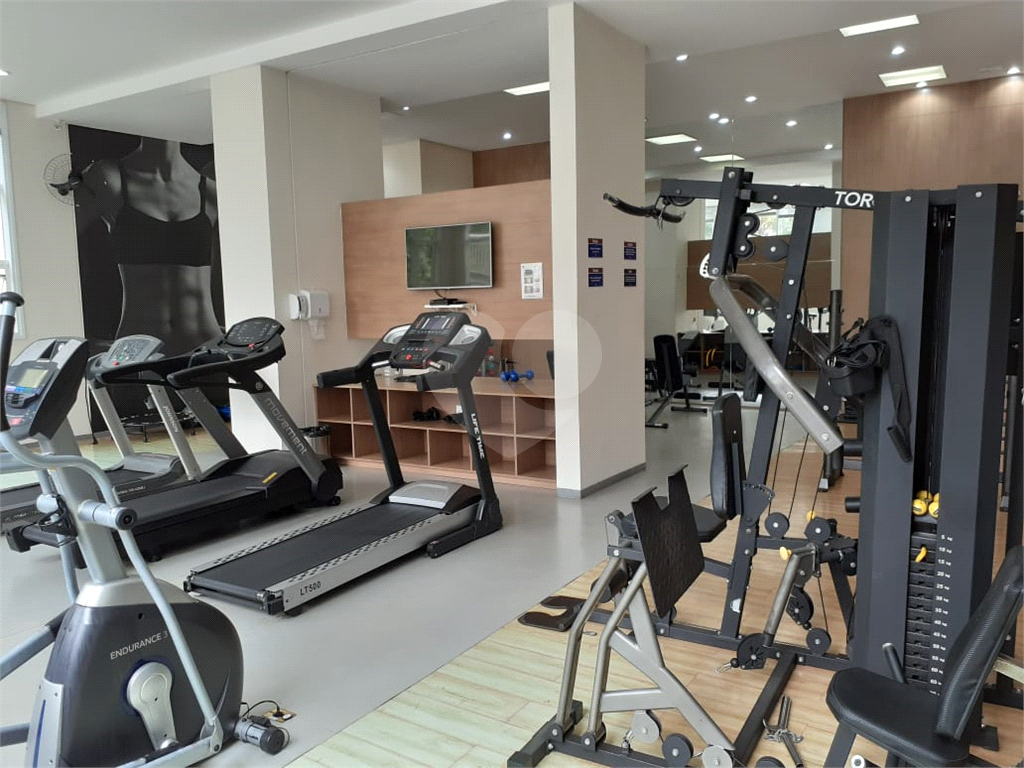 Apartamento para venda na Vila Maria Alta com Varanda Gourmet