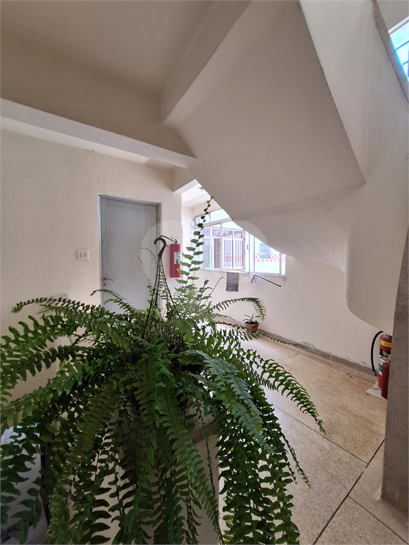 Apartamento no Tucuruvi 