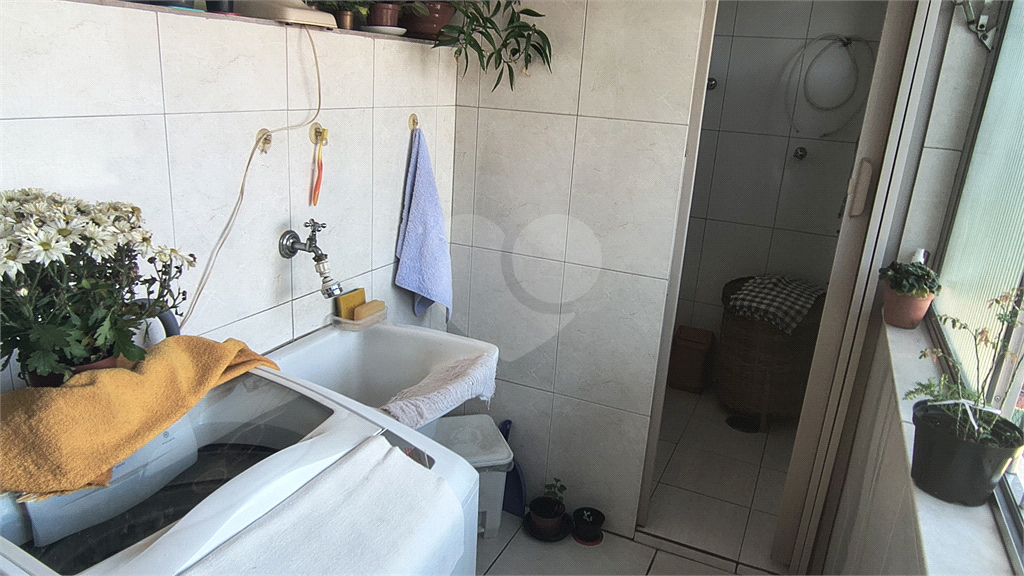 Apartamento 70M² no bairro do Tucuruvi 