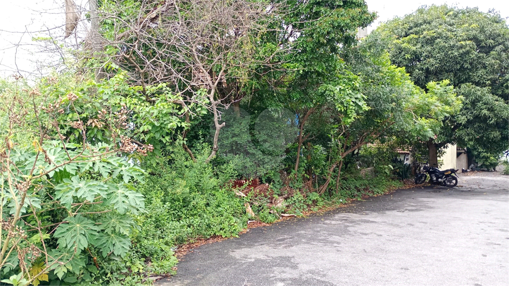 Terreno à Venda na Avenida Santa Inês - Excelente Oportunidade Comercial