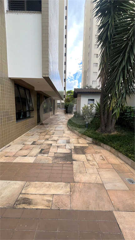 Apartamento Santana com 3 dormitórios 2 vagas 