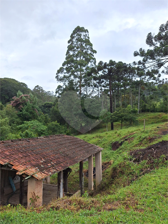 Sítio em Joanópolis