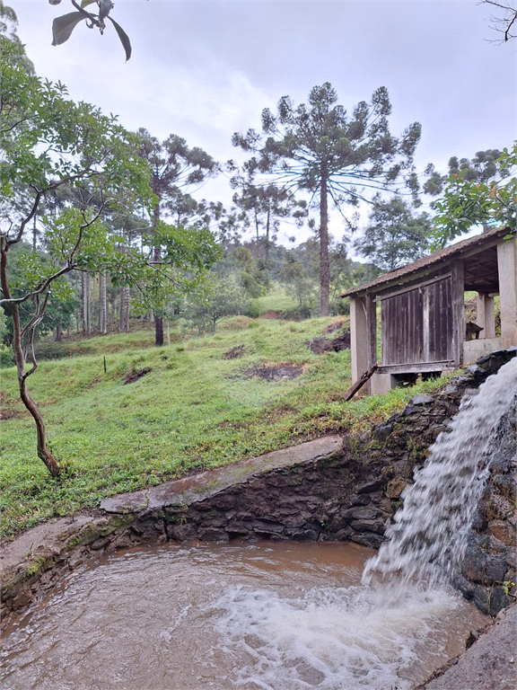 Sítio em Joanópolis