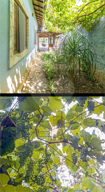 CHÁCARA em JARDIM ESTÂNCIA BRASIL