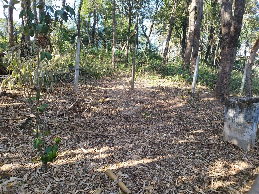 Terreno, 1716 m² - Foto 9