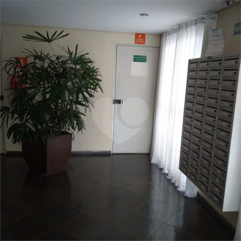 APARTAMENTO em MANDAQUI