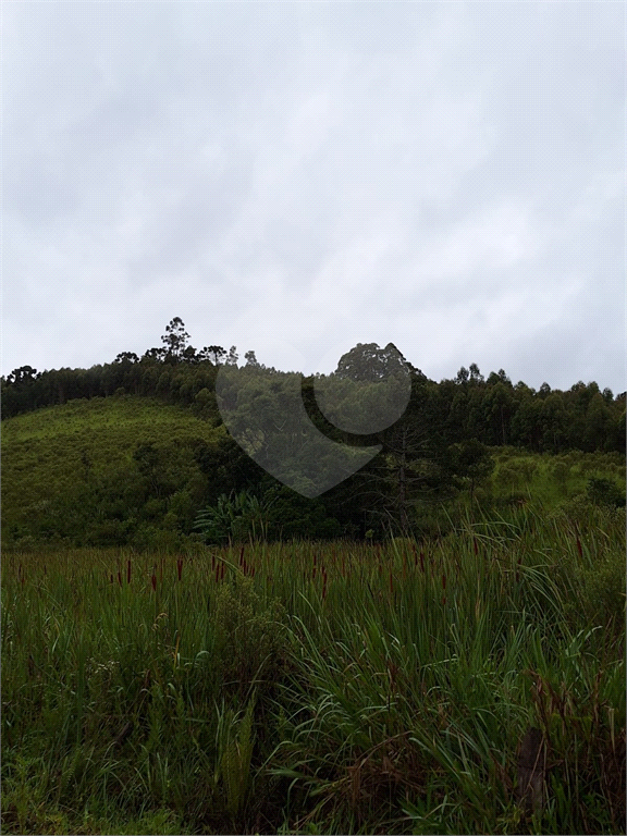 Sítio para venda em Camanducaia - Perto de Monte Verde