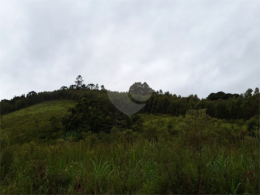 Sítio para venda em Camanducaia - Perto de Monte Verde