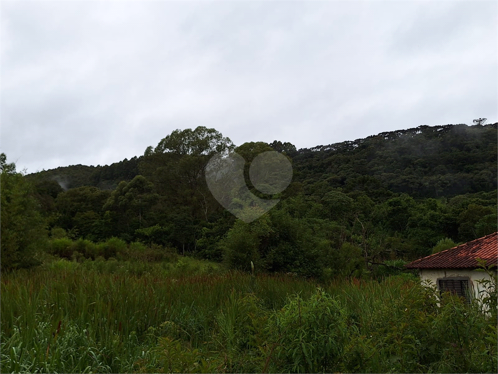 Sítio para venda em Camanducaia - Perto de Monte Verde