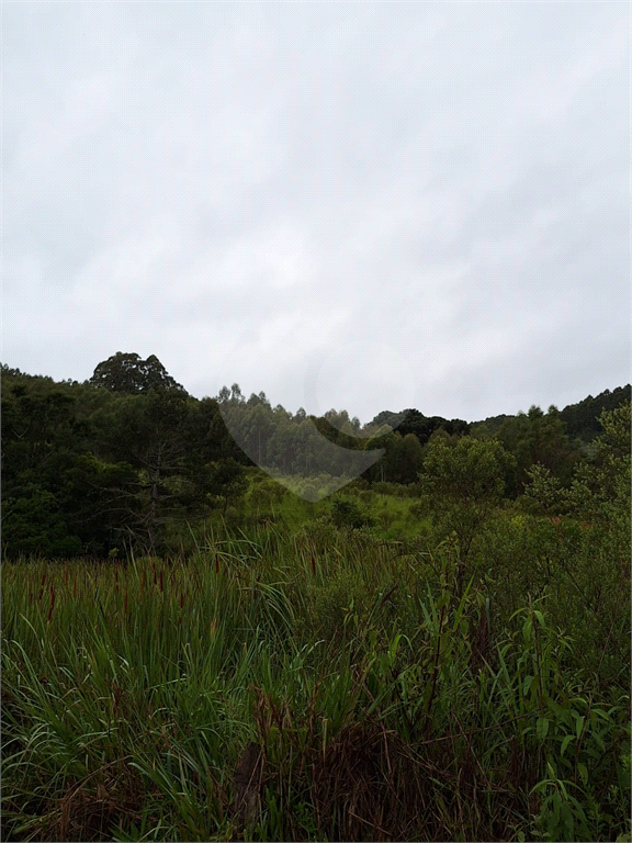 Sítio para venda em Camanducaia - Perto de Monte Verde