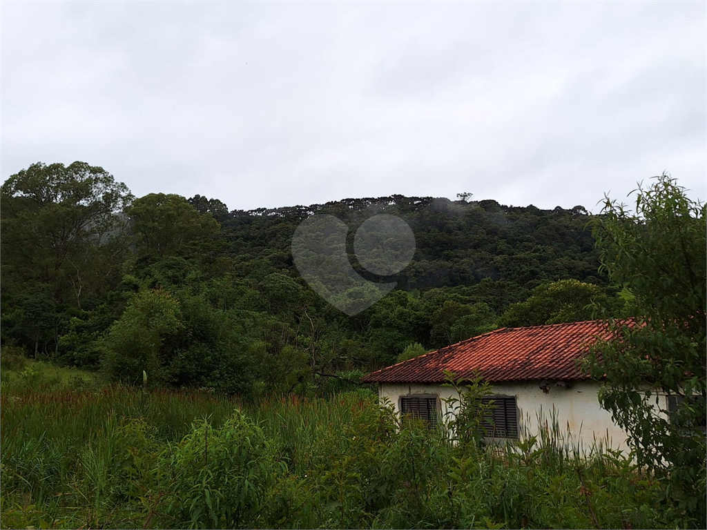 Sítio para venda em Camanducaia - Perto de Monte Verde