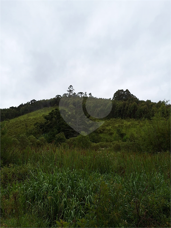 Sítio para venda em Camanducaia - Perto de Monte Verde