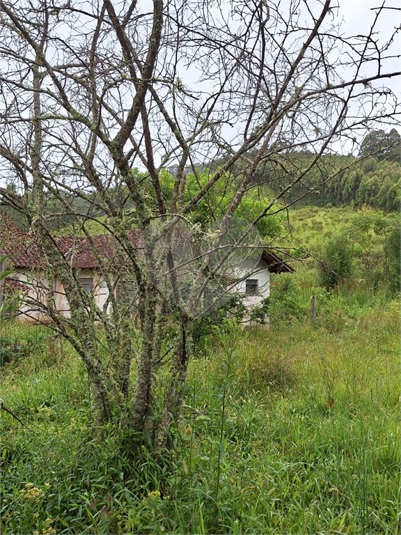 Sítio para venda em Camanducaia - Perto de Monte Verde