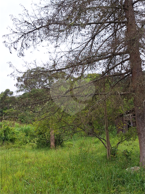Sítio para venda em Camanducaia - Perto de Monte Verde