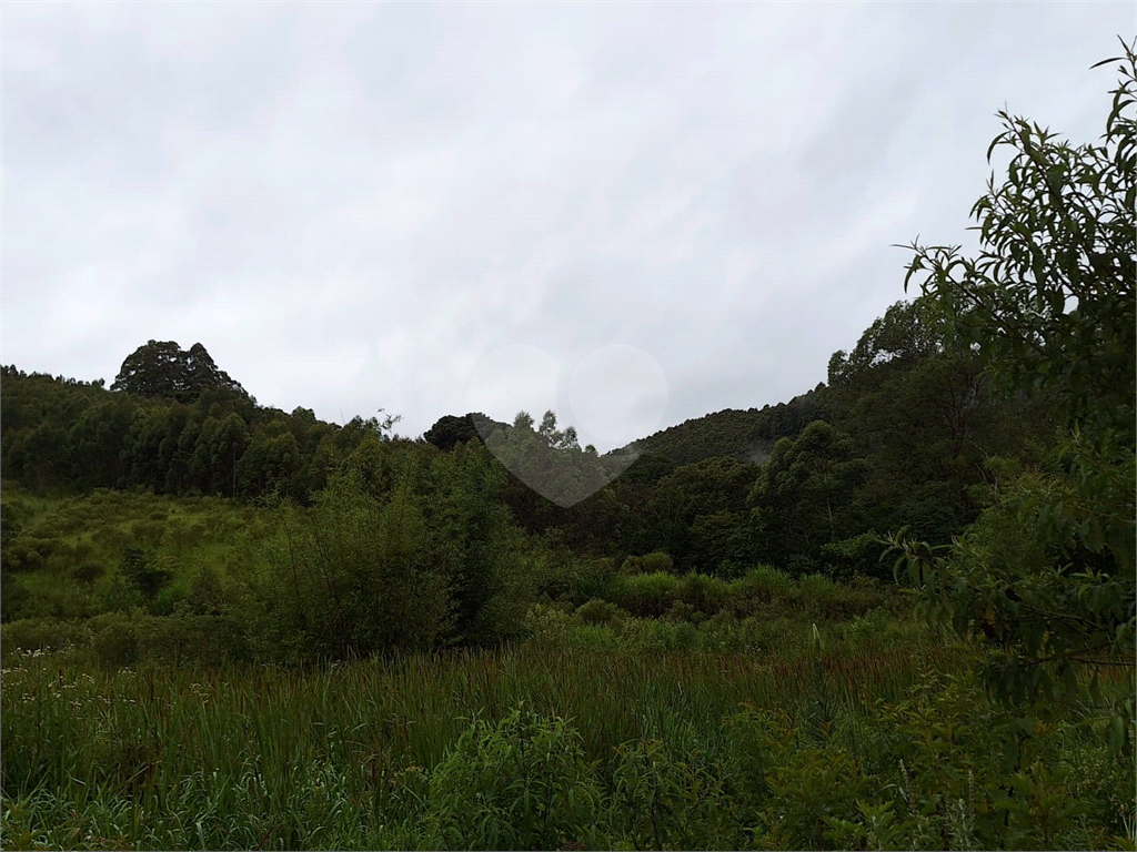Sítio para venda em Camanducaia - Perto de Monte Verde