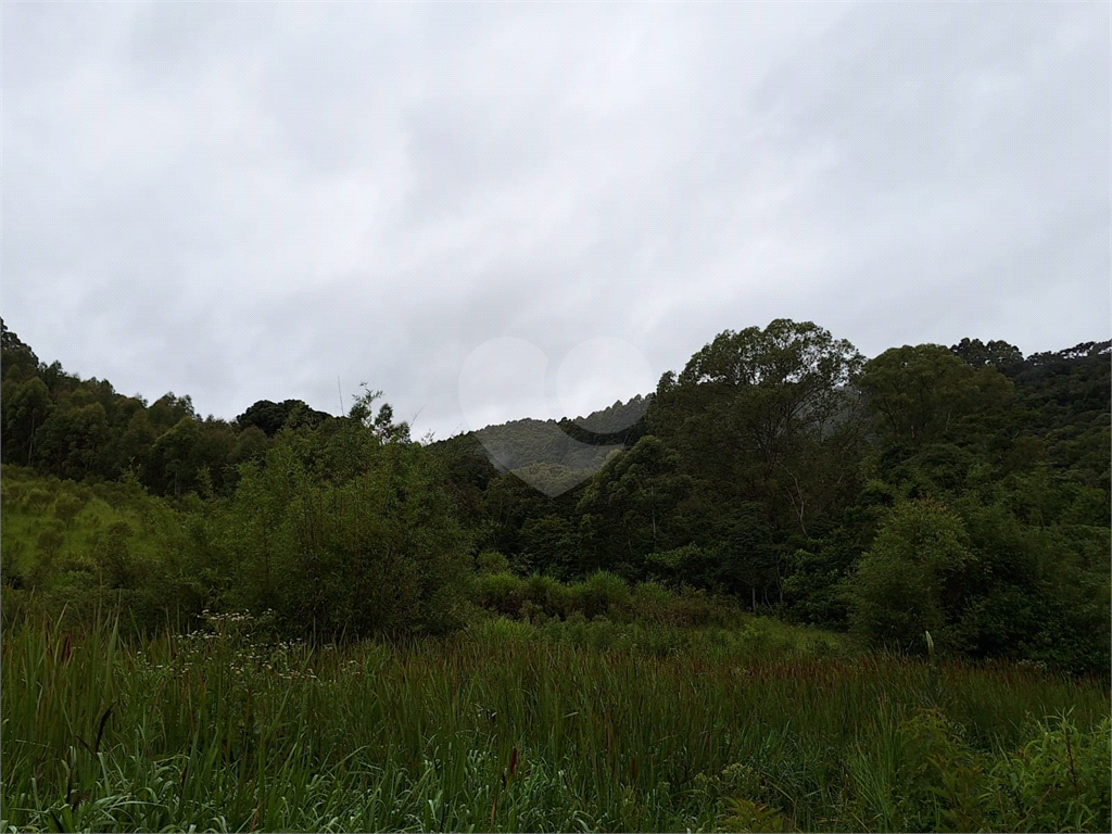 Sítio para venda em Camanducaia - Perto de Monte Verde