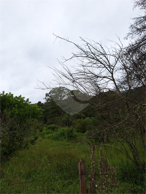 Sítio para venda em Camanducaia - Perto de Monte Verde