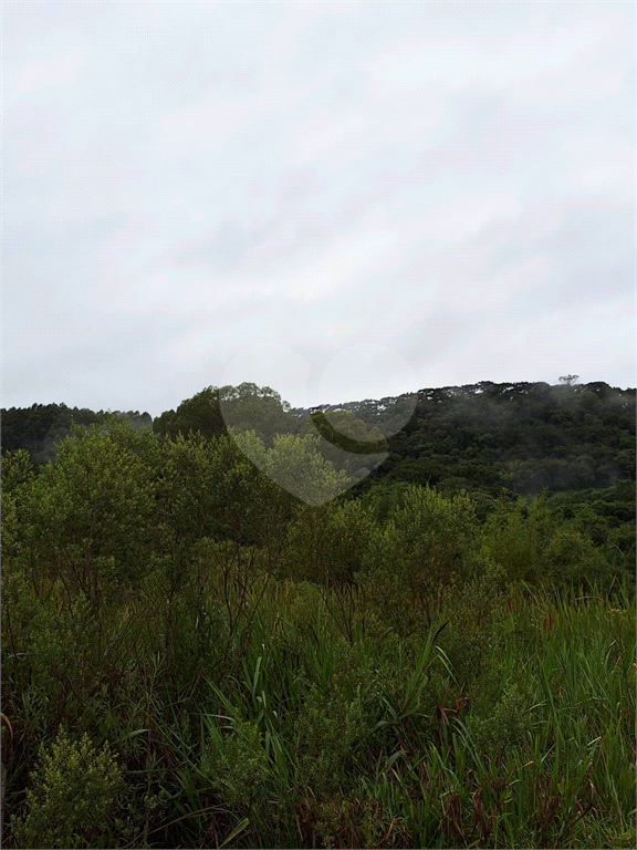 Sítio para venda em Camanducaia - Perto de Monte Verde