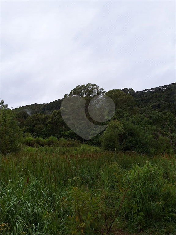 Sítio para venda em Camanducaia - Perto de Monte Verde