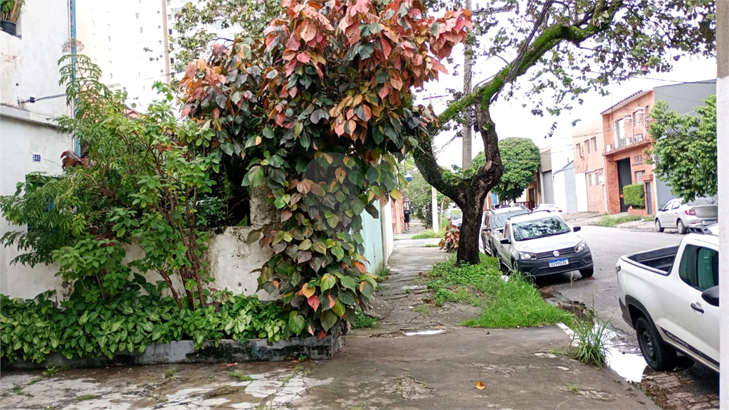 Terreno à venda na Vila Guilherme em localização privilegiada.