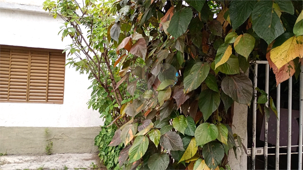 Terreno à venda na Vila Guilherme em localização privilegiada.