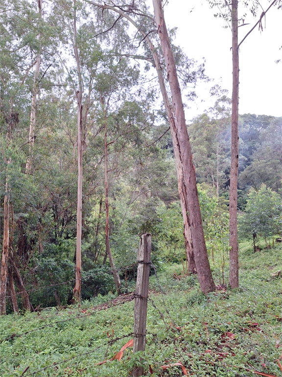 Sítio á venda na área rural de Joanópolis - SP