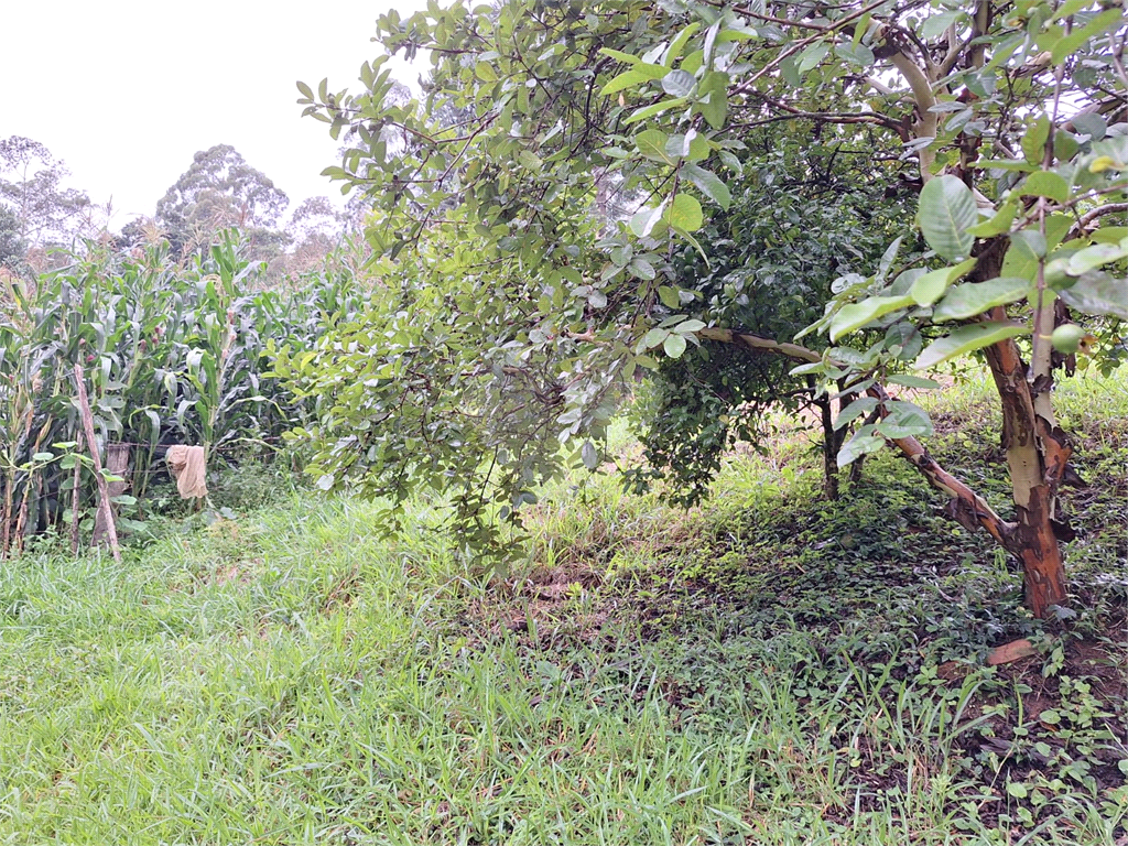 Sítio á venda na área rural de Joanópolis - SP