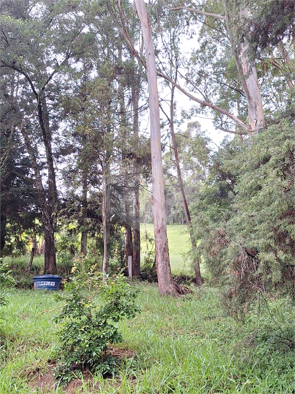 Sítio á venda na área rural de Joanópolis - SP