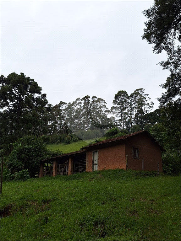 Sítio á venda na área rural de Joanópolis - SP