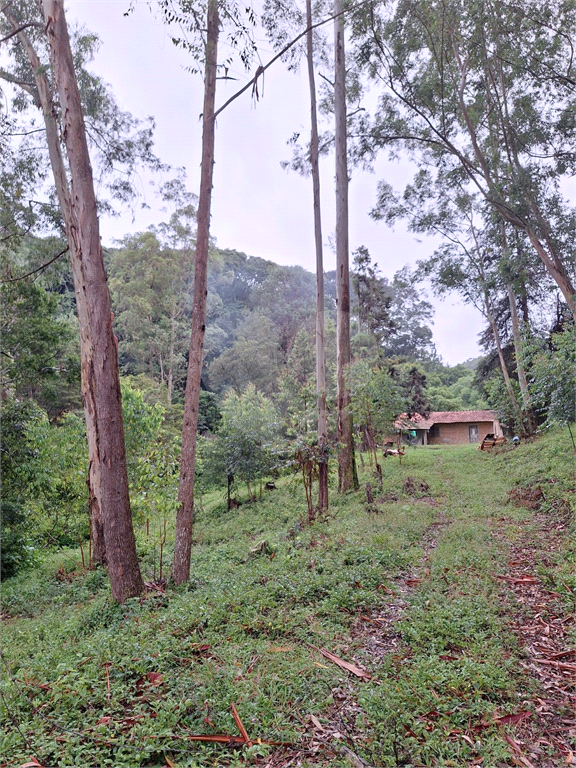 Sítio á venda na área rural de Joanópolis - SP