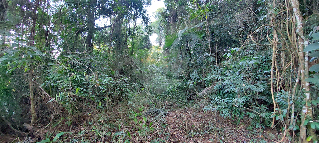 Casa de Condomínio - Foto 5