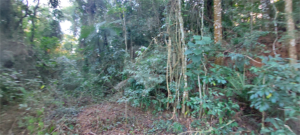 Casa de Condomínio - Foto 2