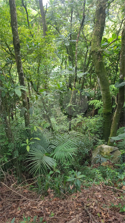 Casa de Condomínio - Foto 10