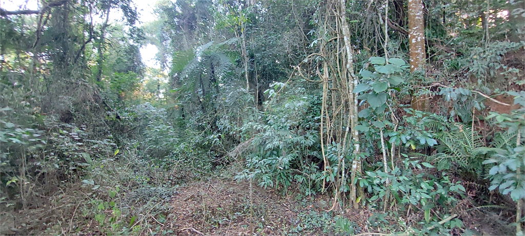 Casa de Condomínio - Foto 3