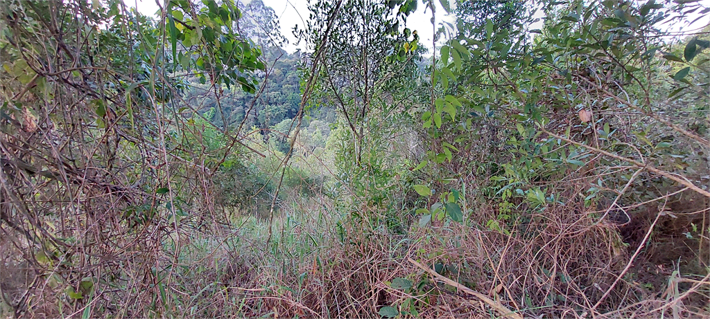 Casa de Condomínio - Foto 6