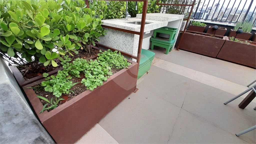 Apartamento Novo no Viva Benx Pinheiros
