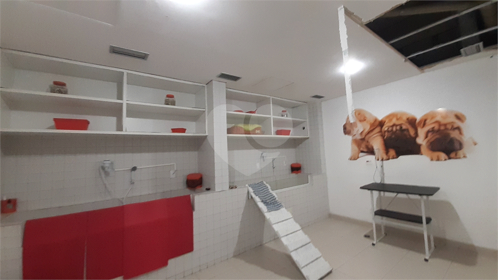 Apartamento a Venda no Mandaqui, 3 Quartos (1 suíte), Varanda Gourmet, 3 Vagas!!!