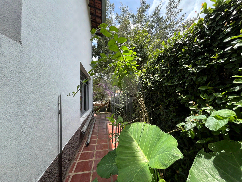 Casa Térrea - Horto Florestal