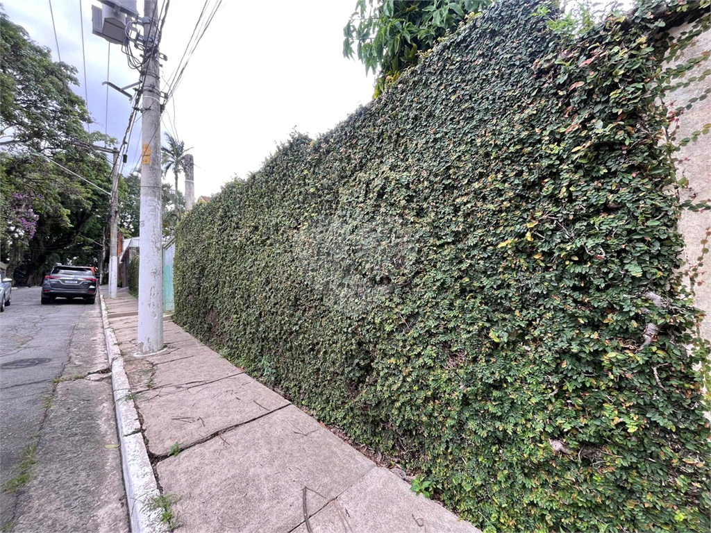 Casa Antiga - Terreno -Área 