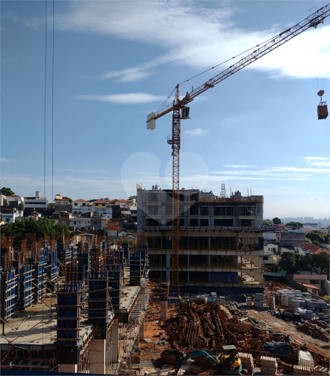 Apartamento com 3 quartos no Tucuruvi