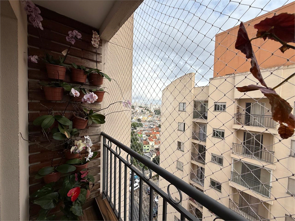 APARTAMENTO em VILA NOVA CACHOEIRINHA