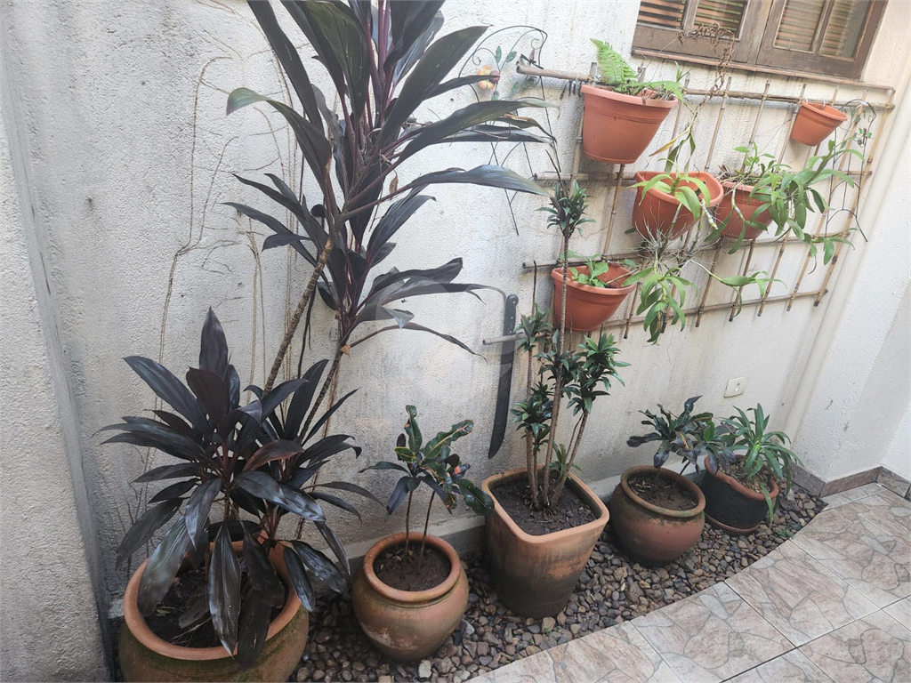 Sobrado Comercial/Residencial