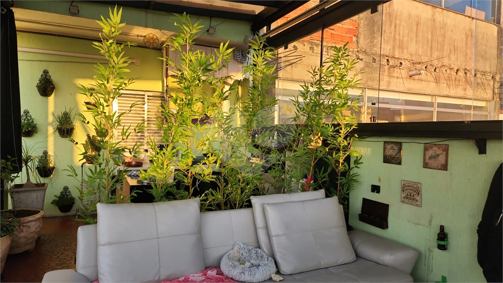 apartamento gardem no tucuruvi