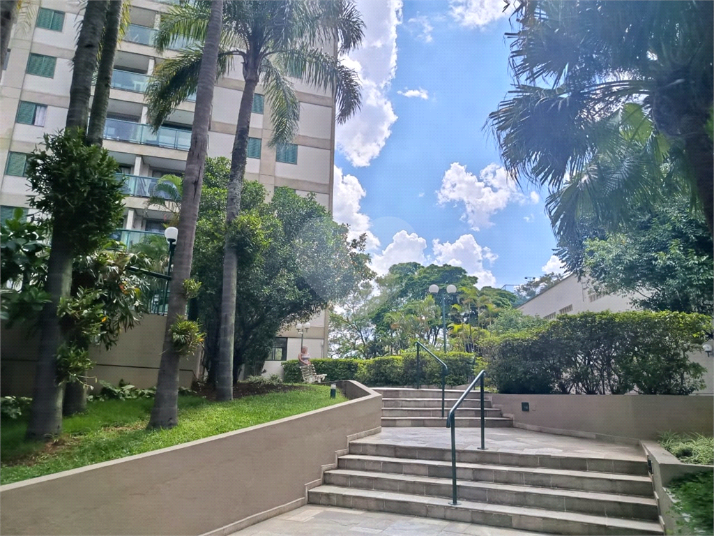 APARTAMENTO em MANDAQUI