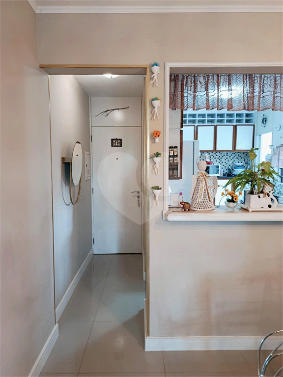 APARTAMENTO em MANDAQUI