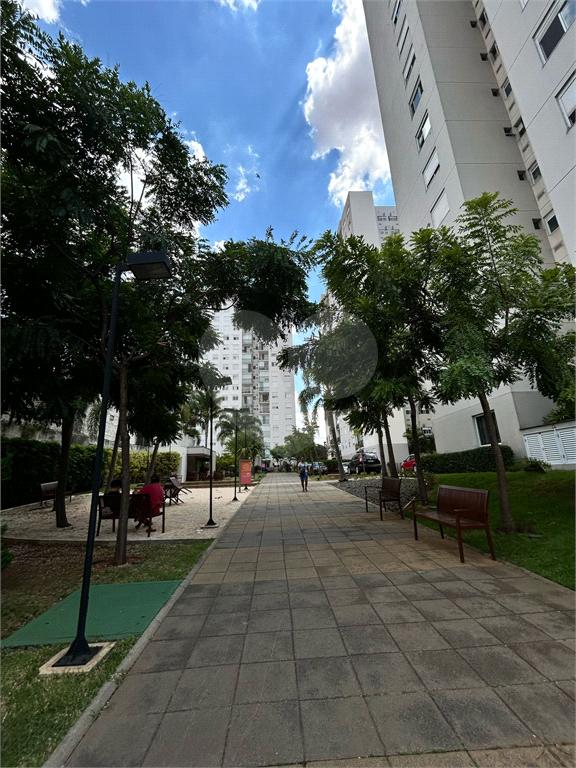 Apartamento para venda 