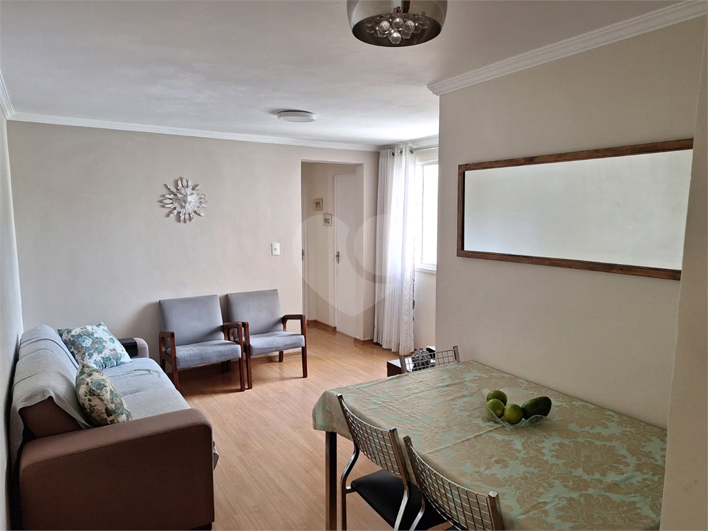 APARTAMENTO em HORTO