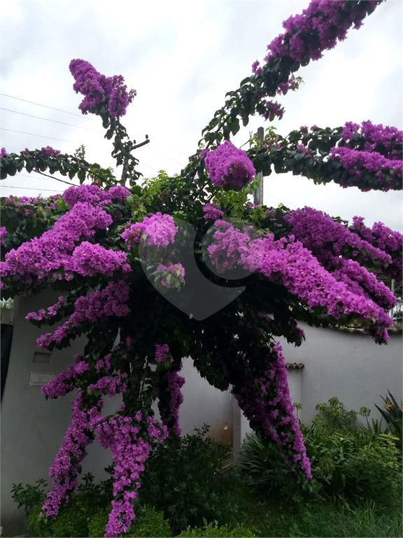 Casa, 4 quartos, 682 m² - Foto 31