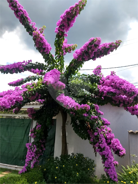 Casa, 4 quartos, 682 m² - Foto 32