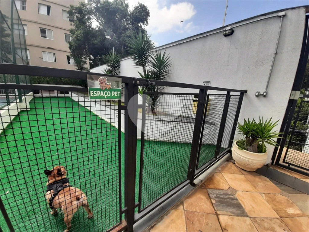 Apartamento 65 metros com 3 quartos e 2 vagas a 2 minutos da Av. Braz Leme - SP